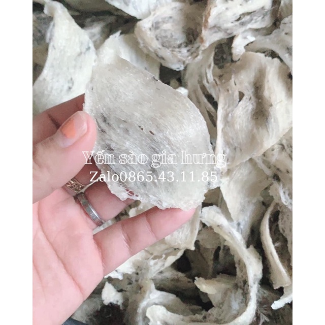 sét một tai yến thô 10gram