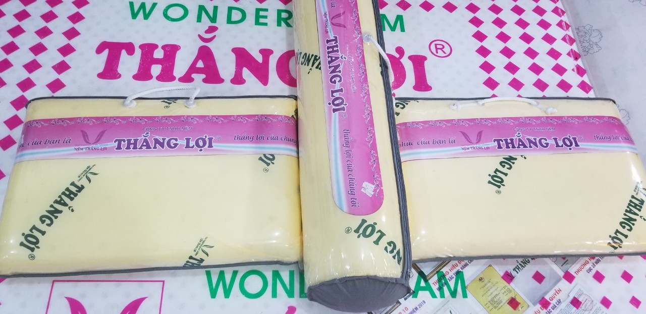[HCM]Gối CAO SU NON THẮNG LỢI 40*60 Cao Cấp