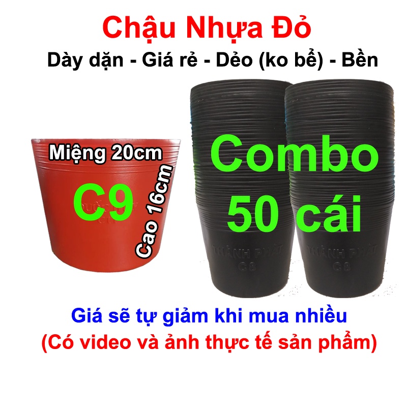 50 Chậu nhựa đỏ C9 trồng hoa Tết, trồng rau, trồng cây vạn thọ