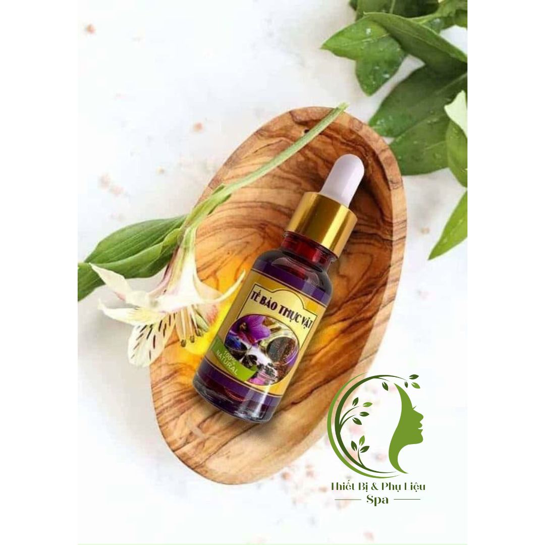 BỘ BẠCH MỘC TRƯƠNG MAI - Có bán lẻ