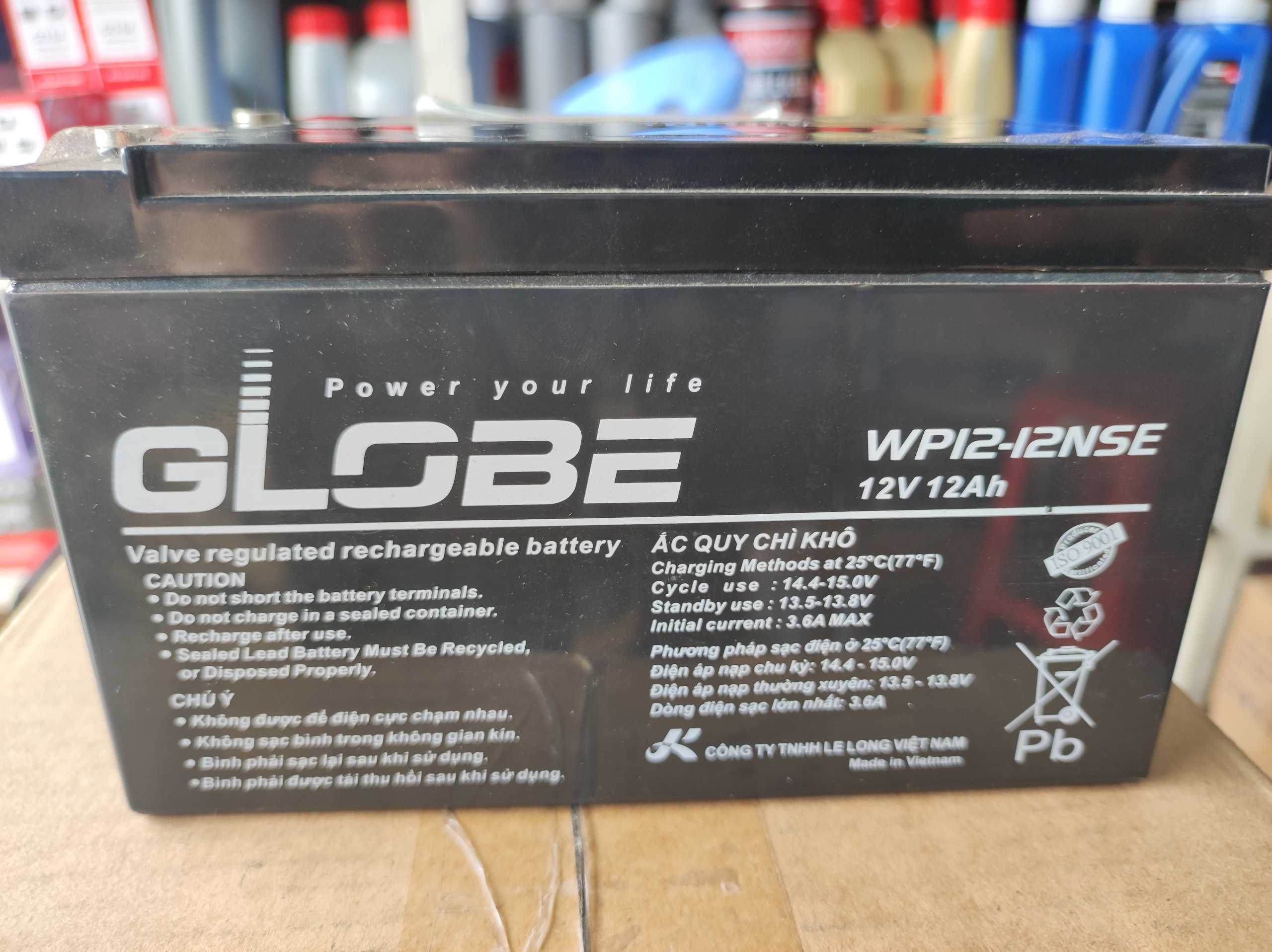 BÌNH ẮC QUY XE ĐẠP ĐIỆN WP12-12SE (12V - 12Ah) - GLOBE