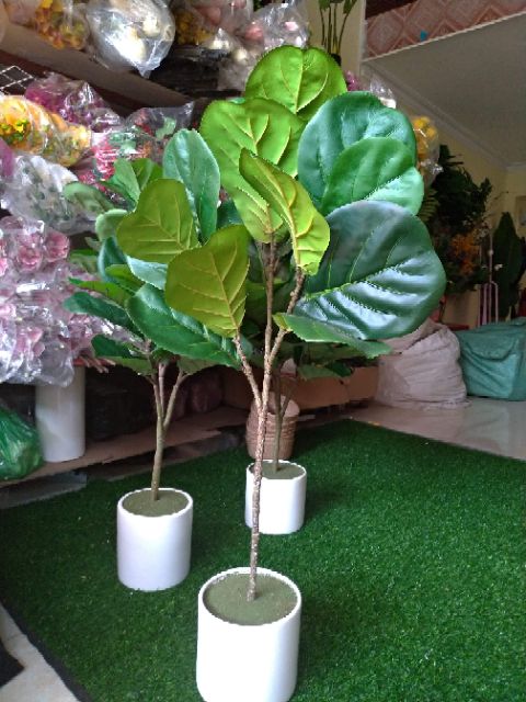 Cây bàng giả cảnh cao 1,1met