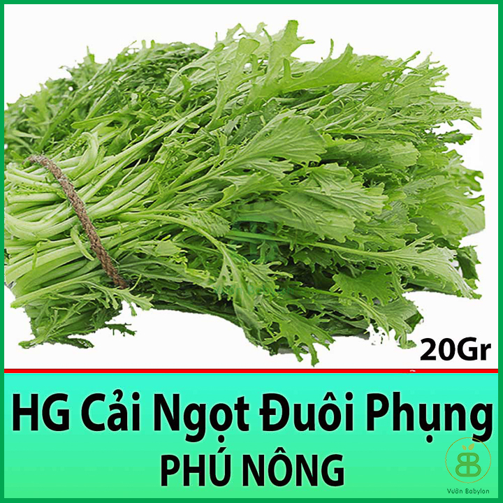 Hạt giống cải ngọt đuôi phụng cao sản 20gr
