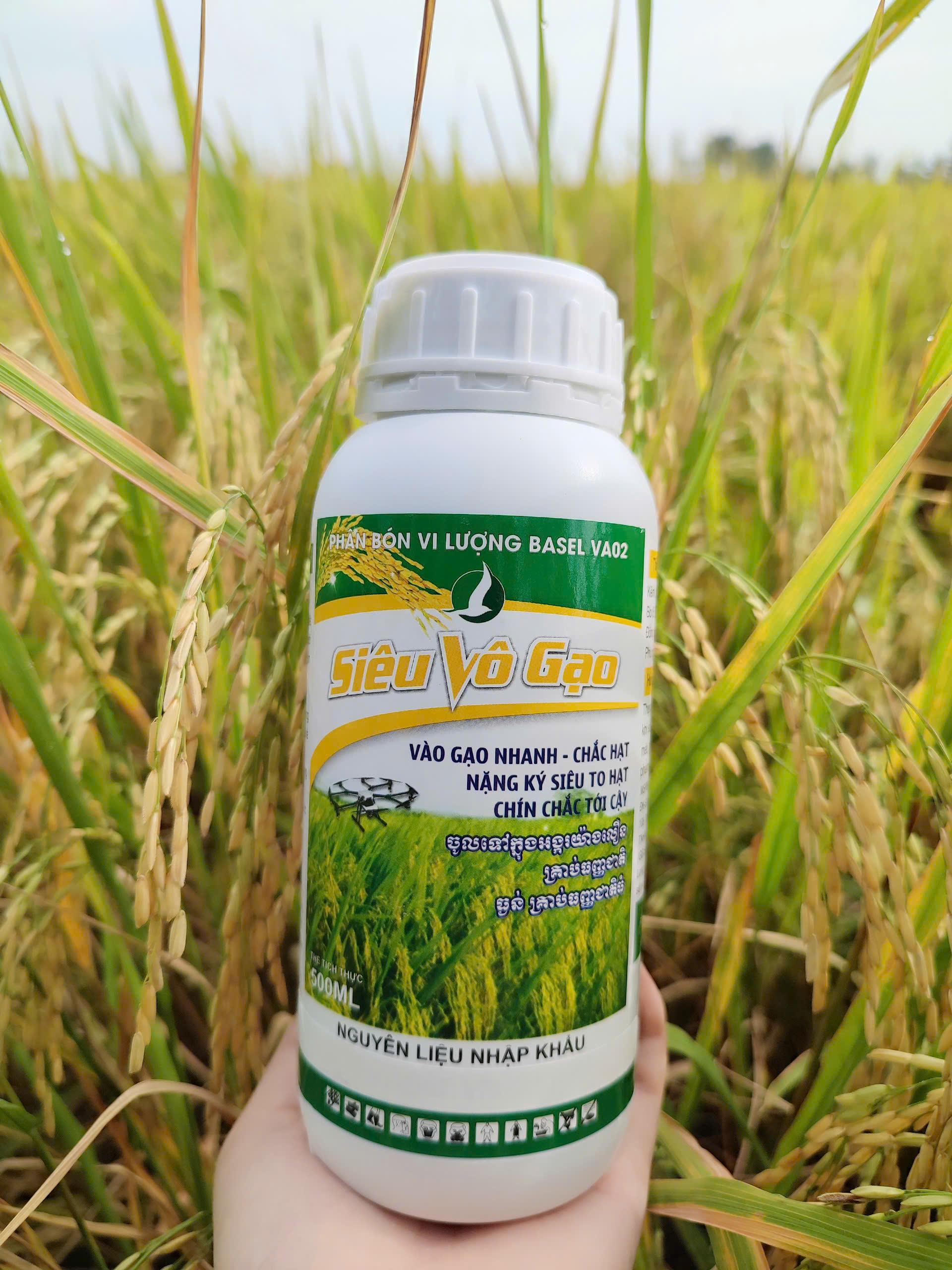 PHÂN BÓN SIÊU VÔ GẠO (CHAI 500ML) - giúp lúa trổ thoát đồng, vô gạo nhanh