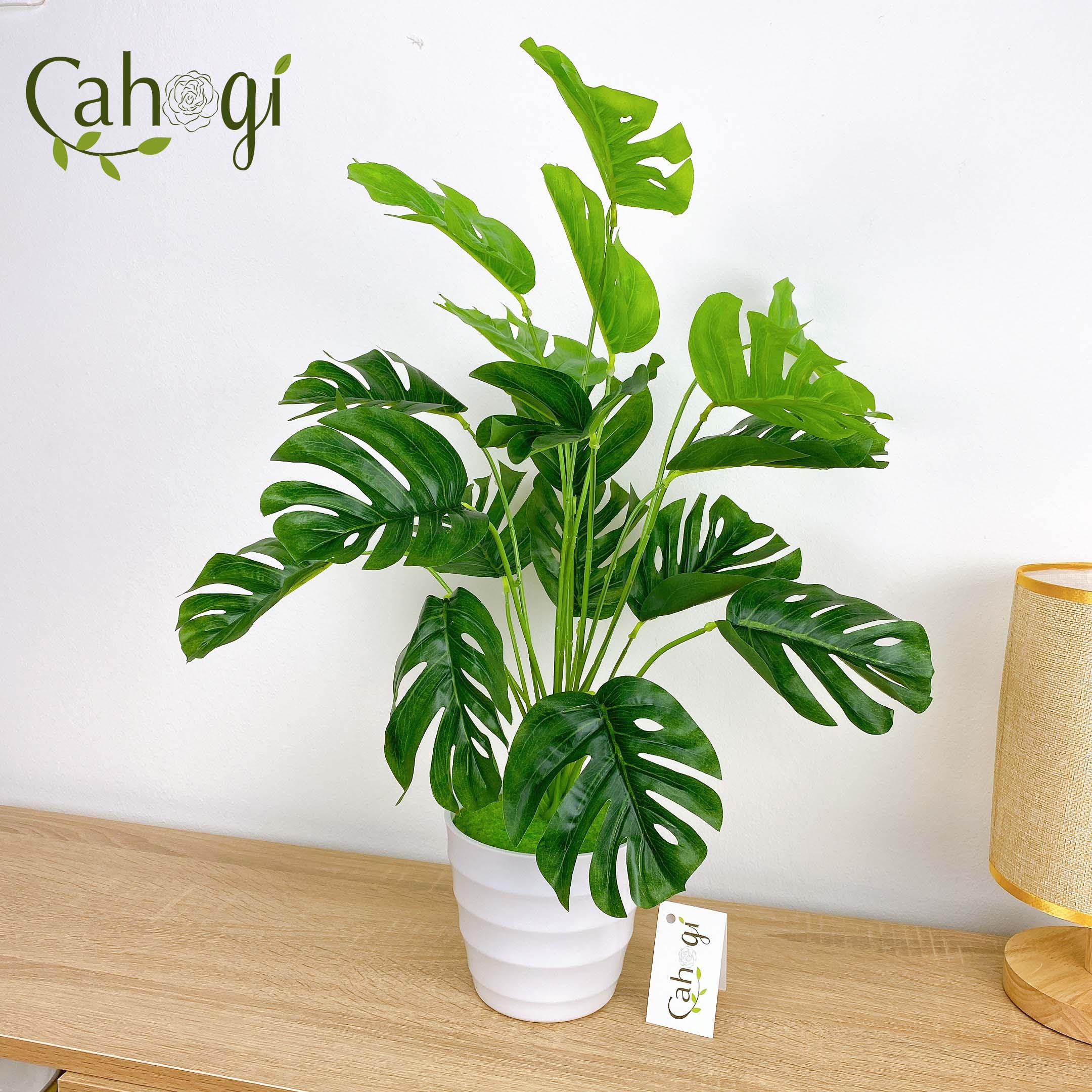 Cây nhựa PVC - Cây Lá Rùa DECOR cỡ lớn (Không Kèm Chậu)