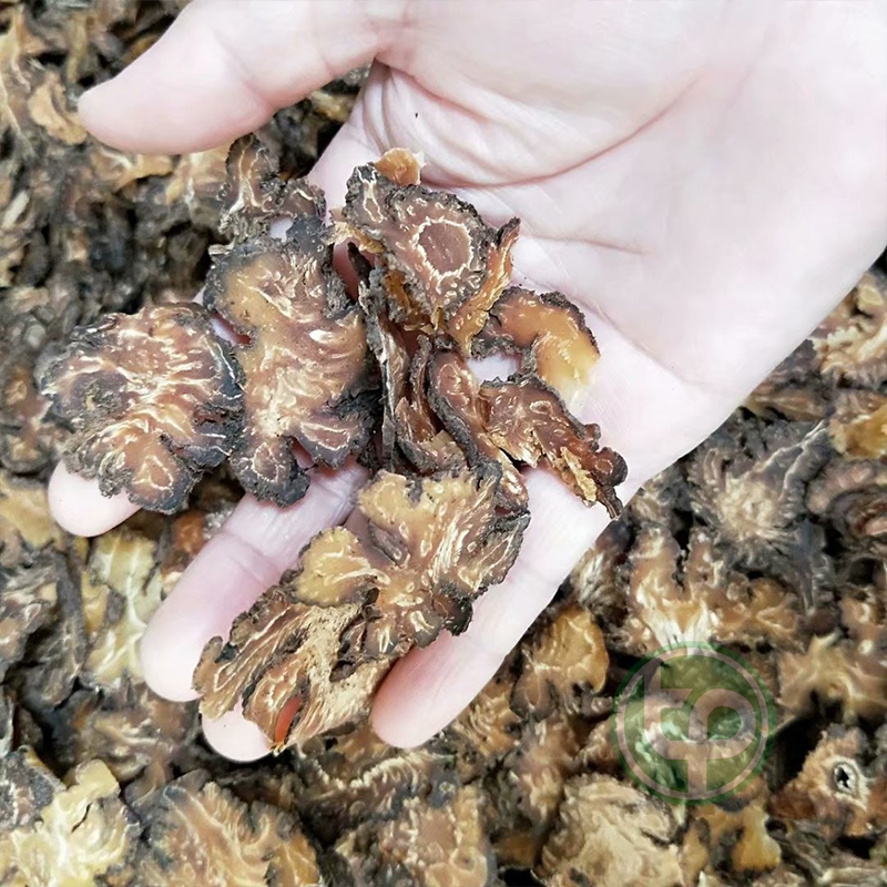 Xuyên khung khô 500g - Thảo Dược Tấn Phát