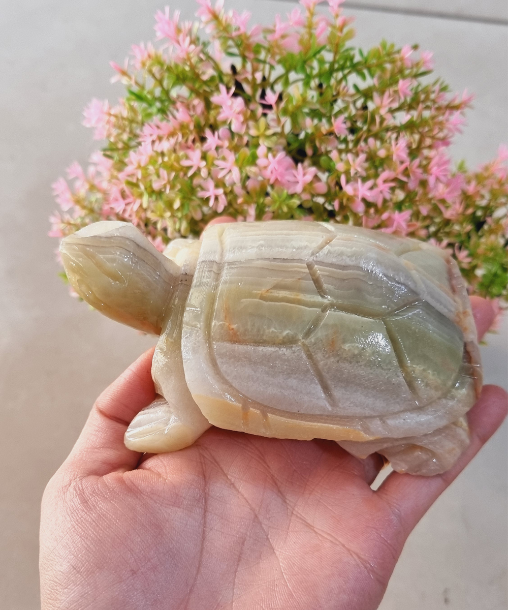 Cụ Rùa bằng đá tự nhiên size 12cm