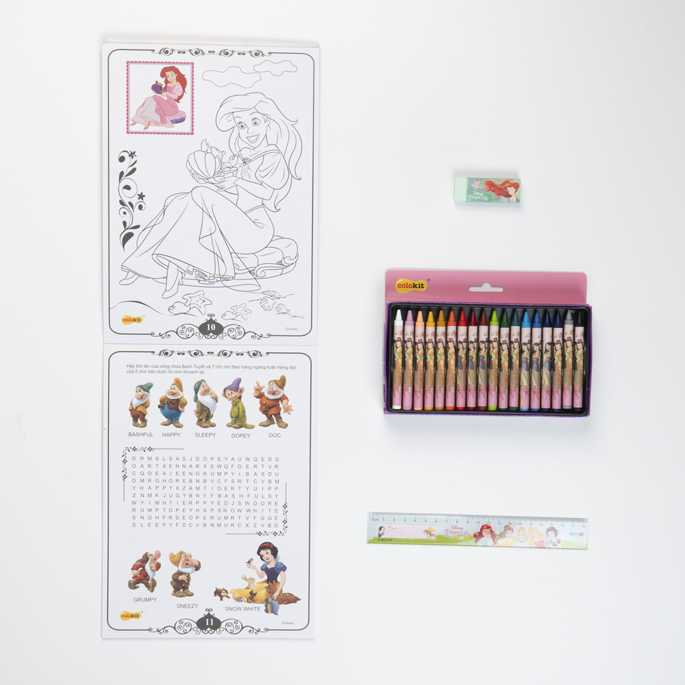 Combo Disney Princess