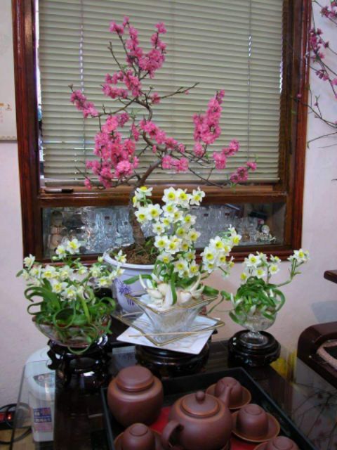 Củ giống hoa thủy tiên( củ nhỏ củ giống)