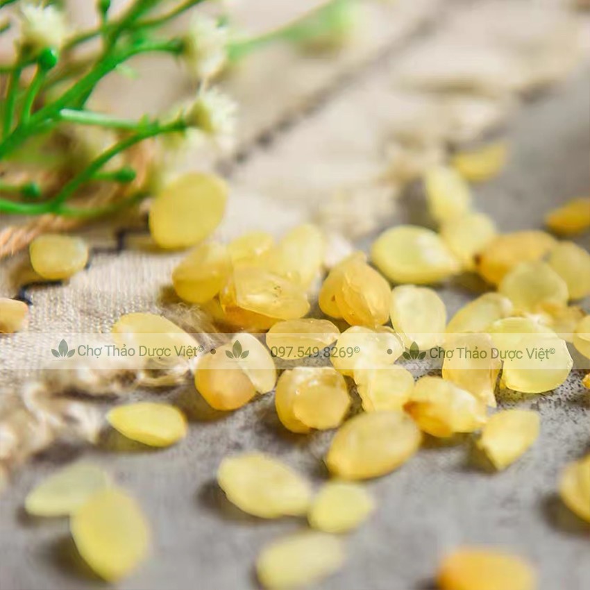Bồ mễ 500g, tuyết liên tử khô, hạt vàng đẹp, nguyên liệu nấu chè dưỡng nhan, thơm ngon, bổ dưỡng