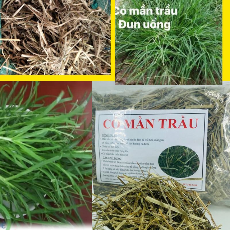 1Kg Cỏ  Mần Trầu khô hàng sạch chuẩn
