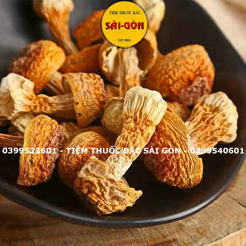 Nấm tùng nhung 100gram hàng tự nhiên