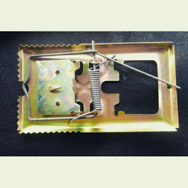 Bẫy đập chuột răng cưa rất nhạy siêu khỏe, bẫy vòng cung - Bẫy đập vàng