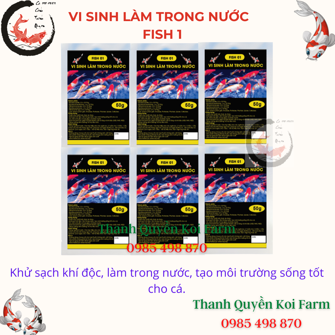 Vi sinh làm trong nước bể cá hồ cá koi cá cảnh FISH 01