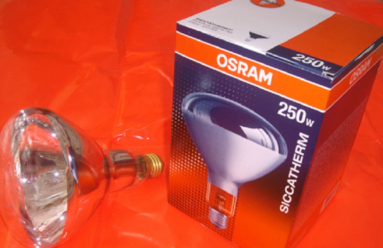 Bóng đèn hồng ngoại Osram