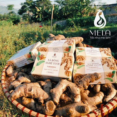 Xà bông Nghệ Tươi MELA 100gr