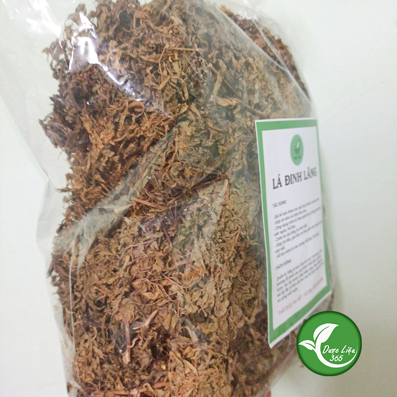 Lá đinh lăng khô [1KG] Loại thượng hạng