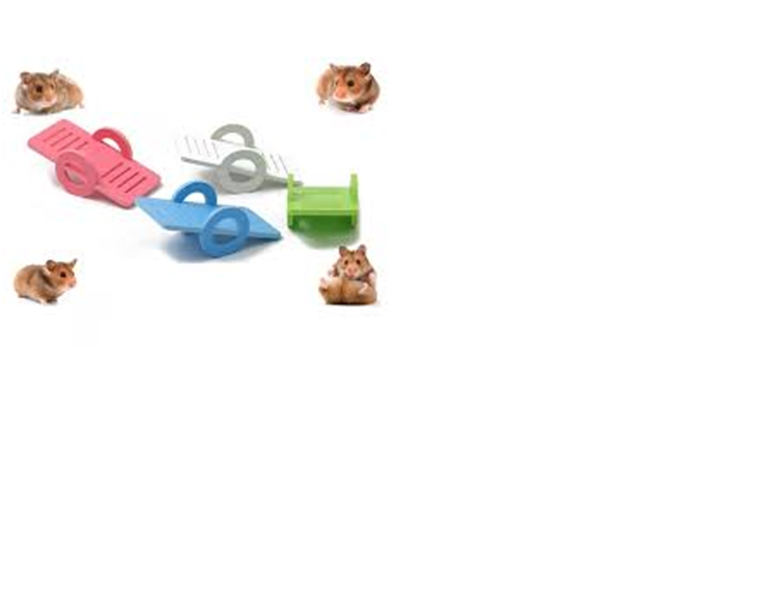 Bập bênh gỗ cho hamster