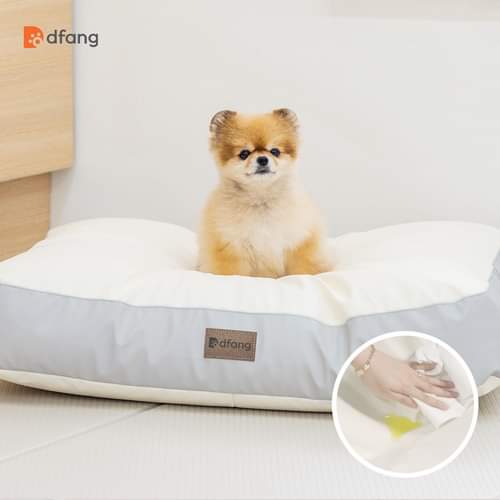 NIỆM CHO THÚ CƯNG - NIỆM NGỦ CHÓ / MÈO - DFANG