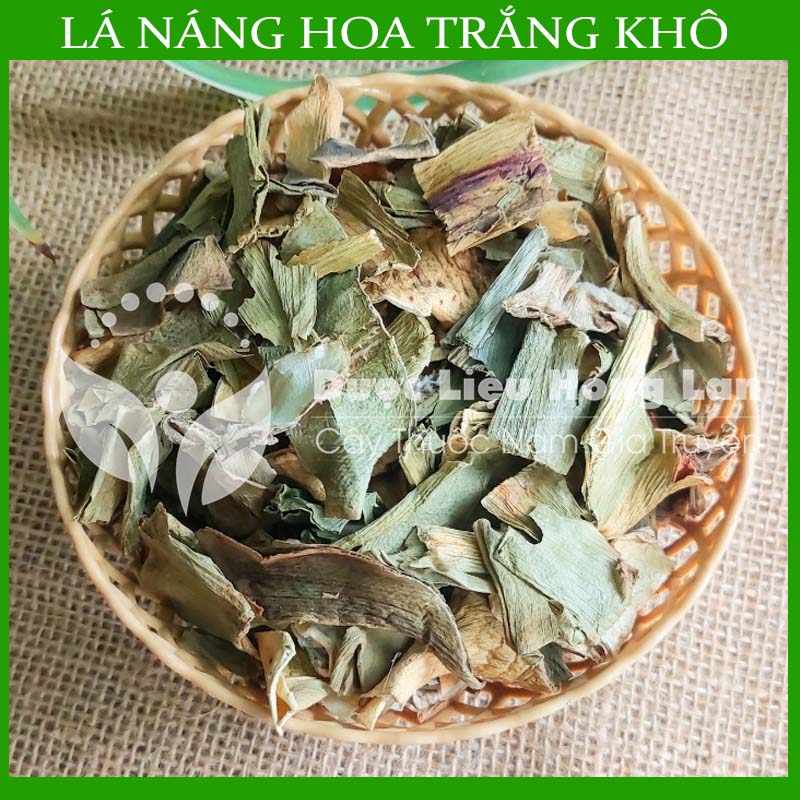Lá Náng hoa trắng khô 100g - Hàng chính hãng