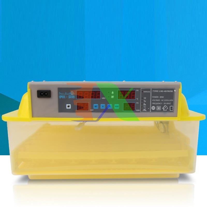 Incubator chicken eggs, duck eggs, Bird, Dove (56)