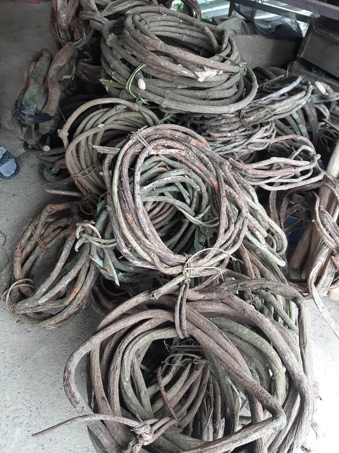Dây rừng trang trí