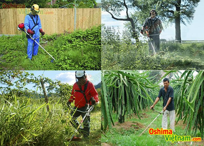 [HCM]Máy cắt cỏ Oshima 430 bạc