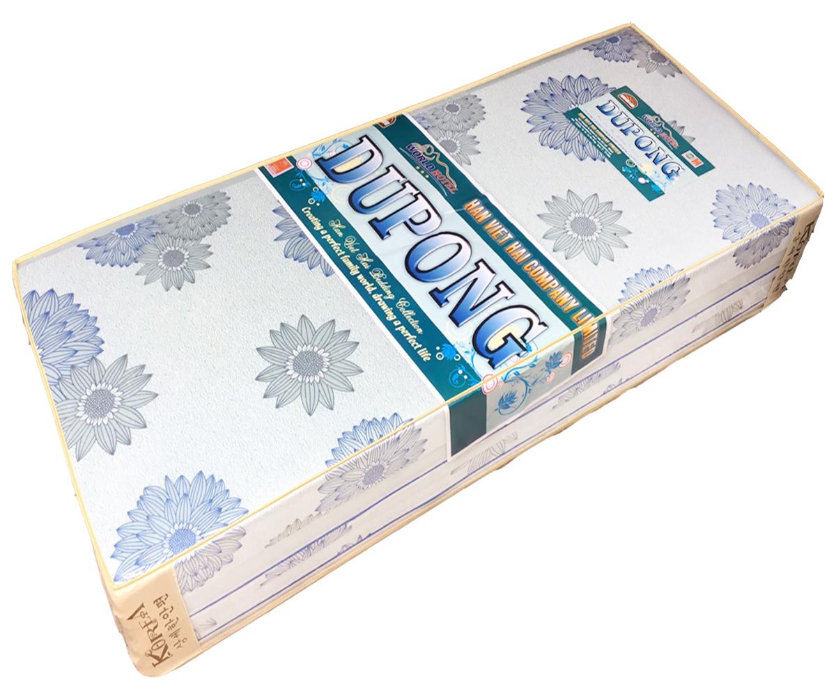 (FREE SHIP ) Nệm Bông Ép Dupong 1mx2mx10cm ( Giao Màu Ngẫu Nhiên )