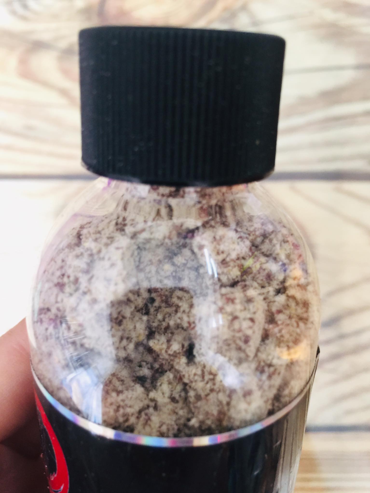mồi bột câu cá tơ nhện chai to
