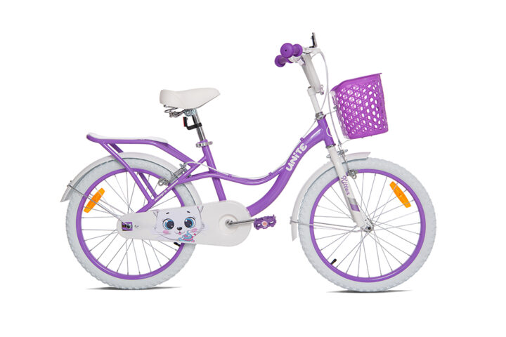 Xe đạp Thống nhất Kitten 20