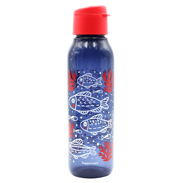 Bình Nước Eco Bottle Fancy 750ml