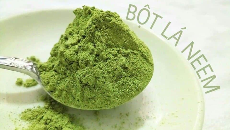 BỘT LÁ NEEM NGUYÊN CHẤT