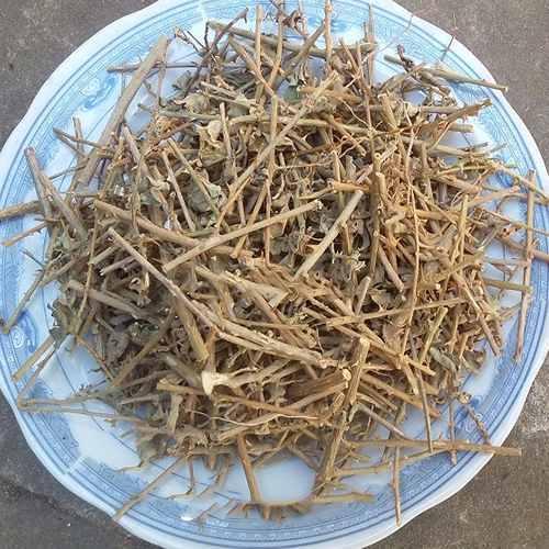 Cà Gai Leo - 1 kg