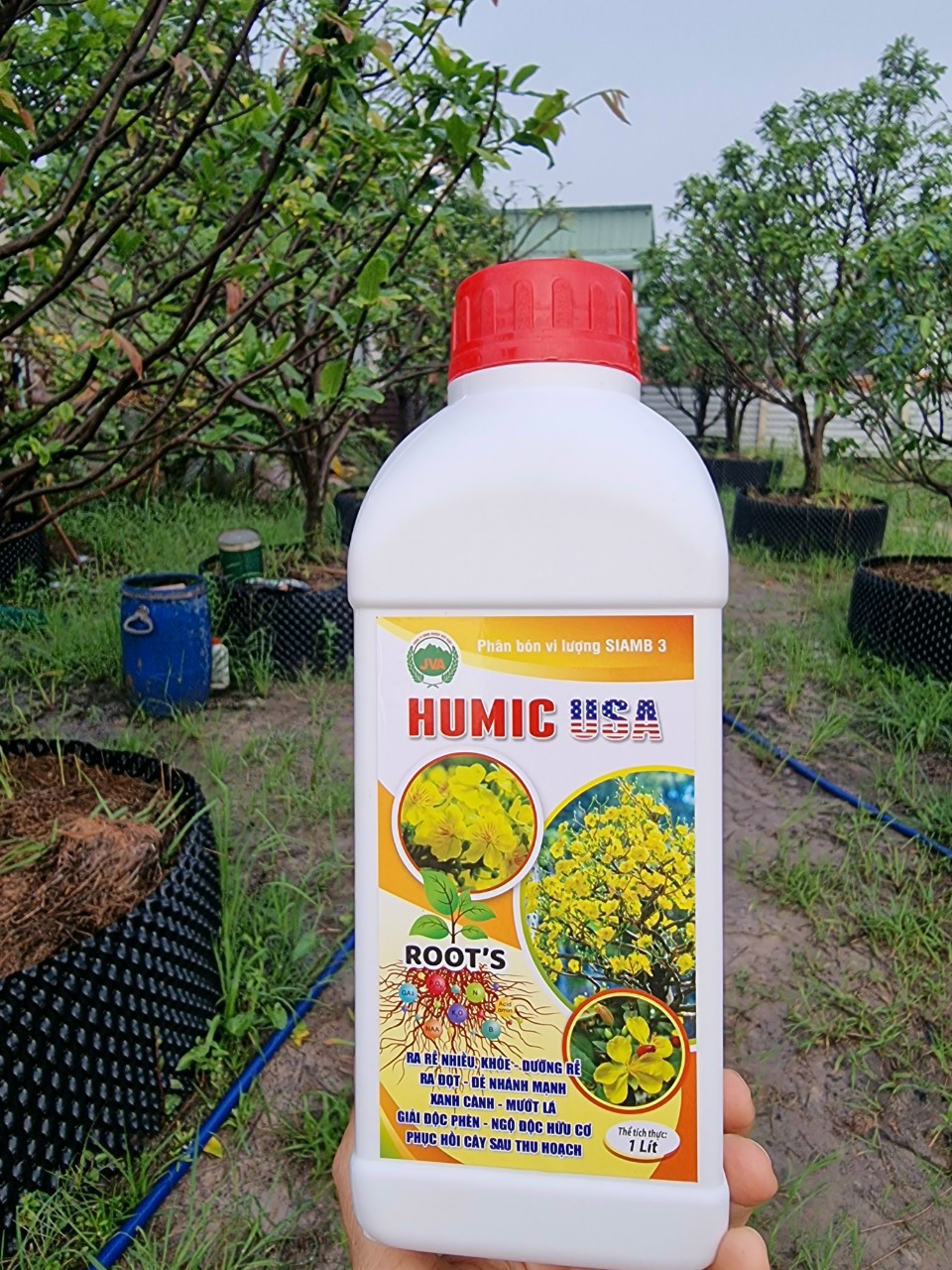KÍCH RỄ HUMIC USA CHAI 1 LÍT