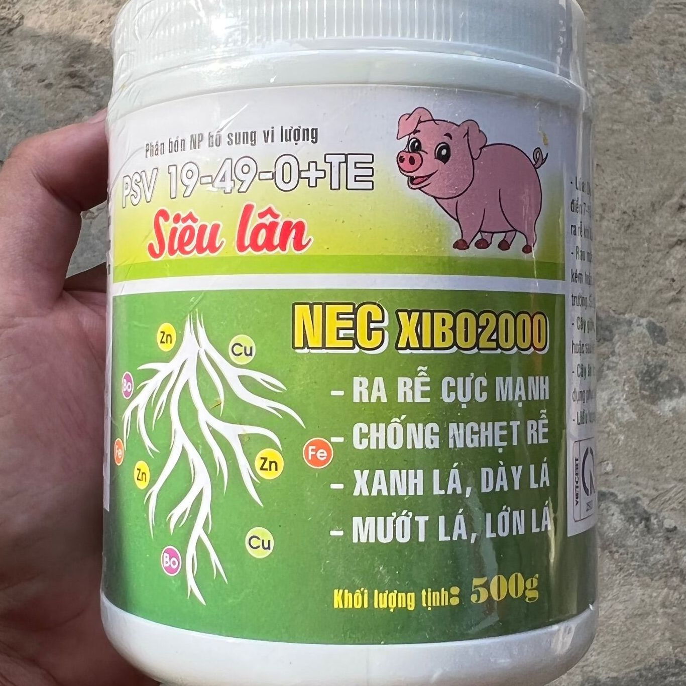 Kích rễ cực mạnh phục hồi cây bung chồi xanh cây mập đọt