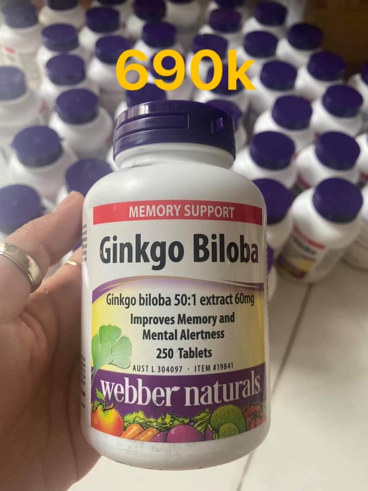 Ginkgo Biloba 60mg Webber Naturals