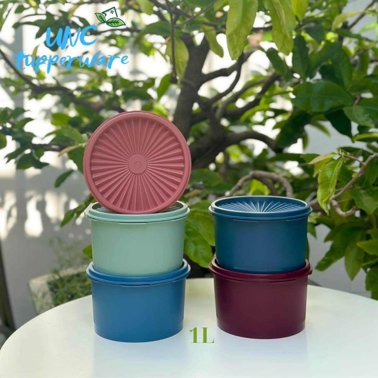 Bộ hộp bảo quản thực phẩm Tupperware Midi Deco (5)