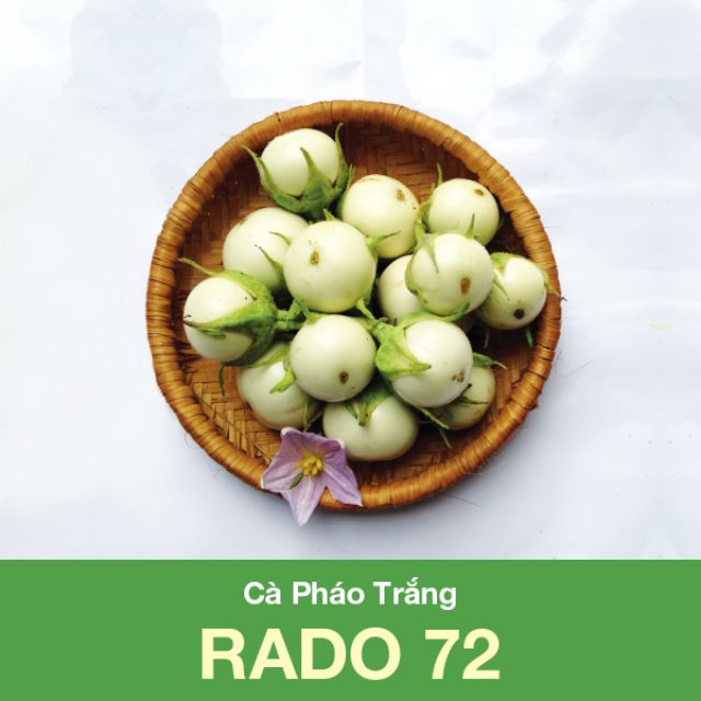 Hạt Giống Cà Pháo Trắng Gói 0.5gr - RADO 72
