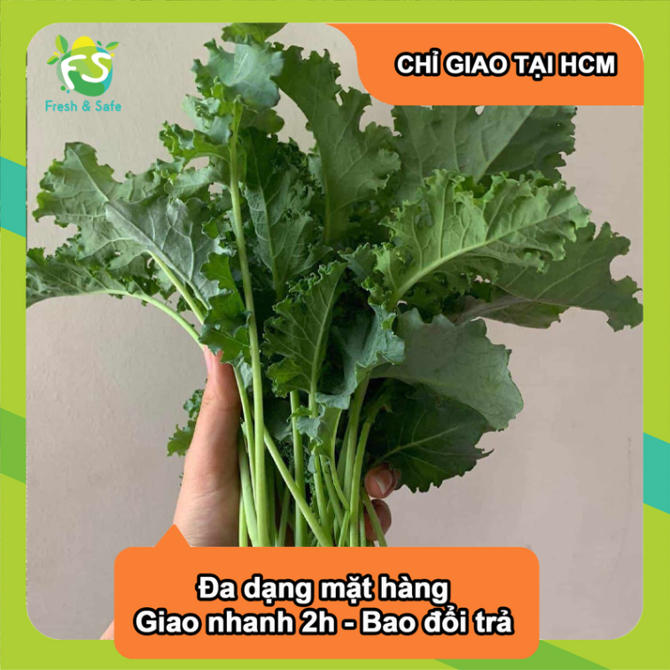 [Hcmc Express] Kale - 300G/1Kg