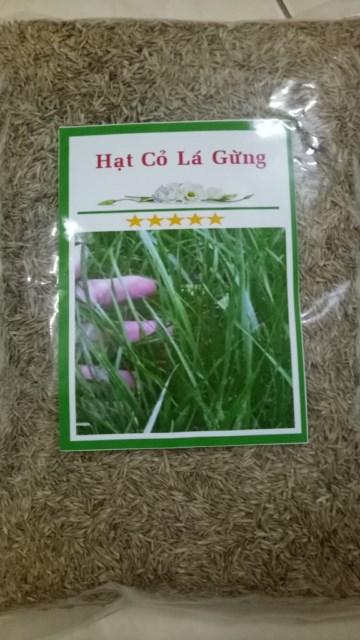 Hạt Cỏ Sân Bóng - Cỏ Lá Gừng. Túi 1Kg Sinh Trưởng Mạnh - Rất Dễ Trồng.