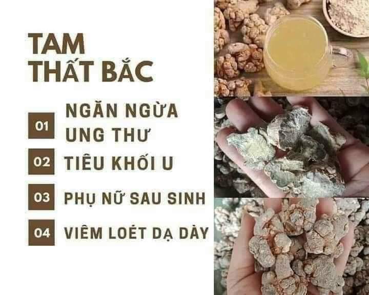 bột củ tam thất bắc