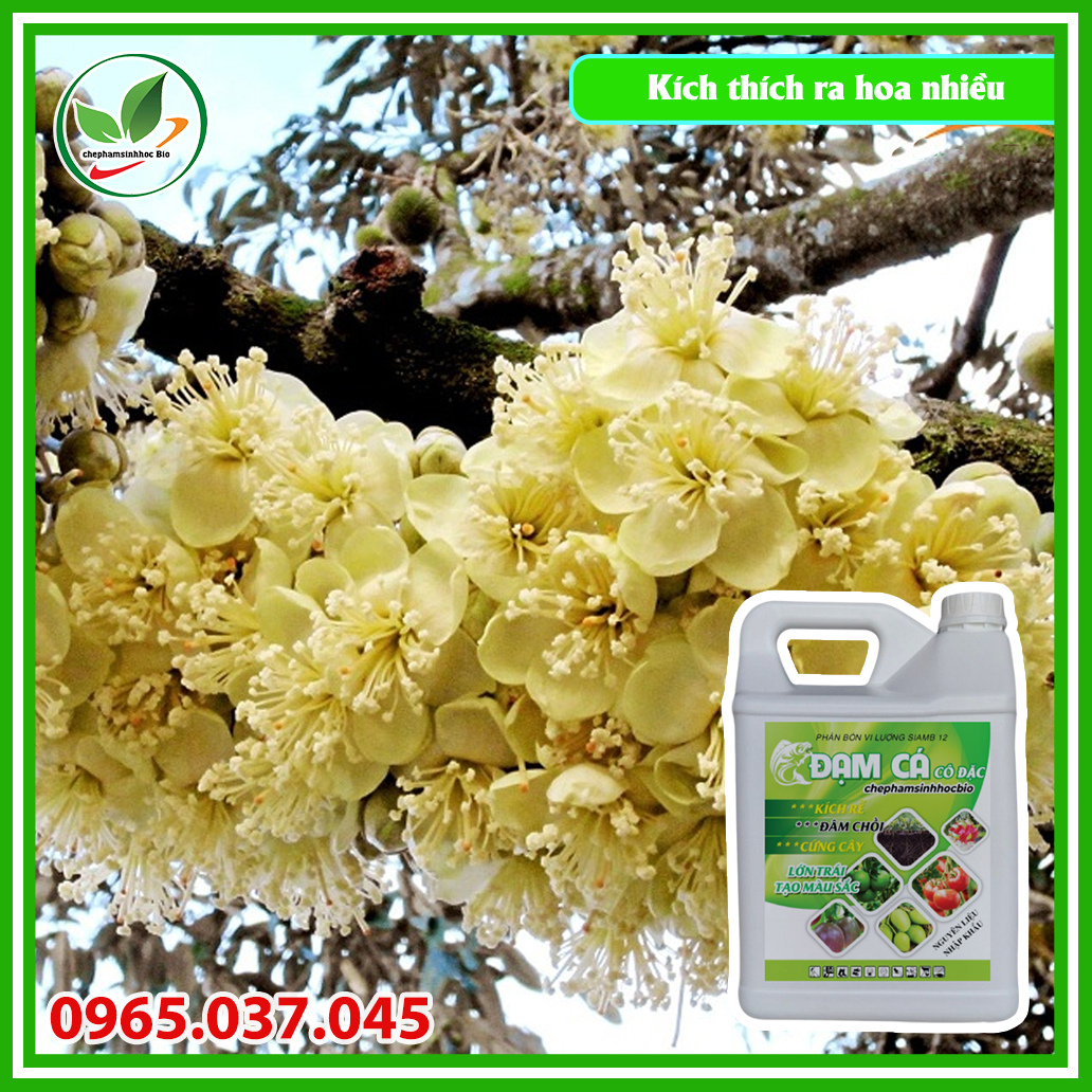 Phân đạm cá đậm đắc hữu cơ sinh học Bio. Can 5l