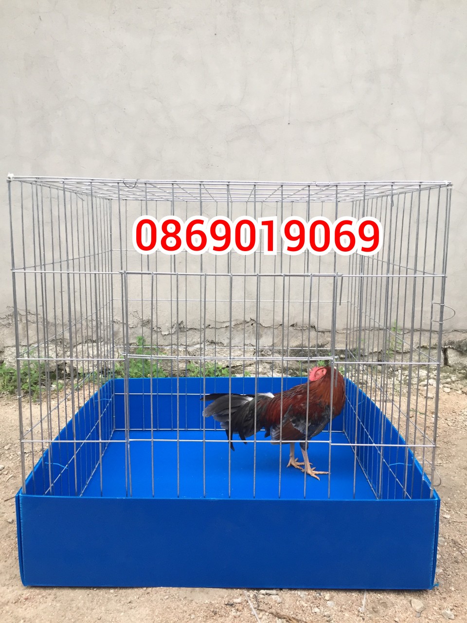 CHUỒNG GÀ 80V CÓ KHAY  (hàng rap sẳn)