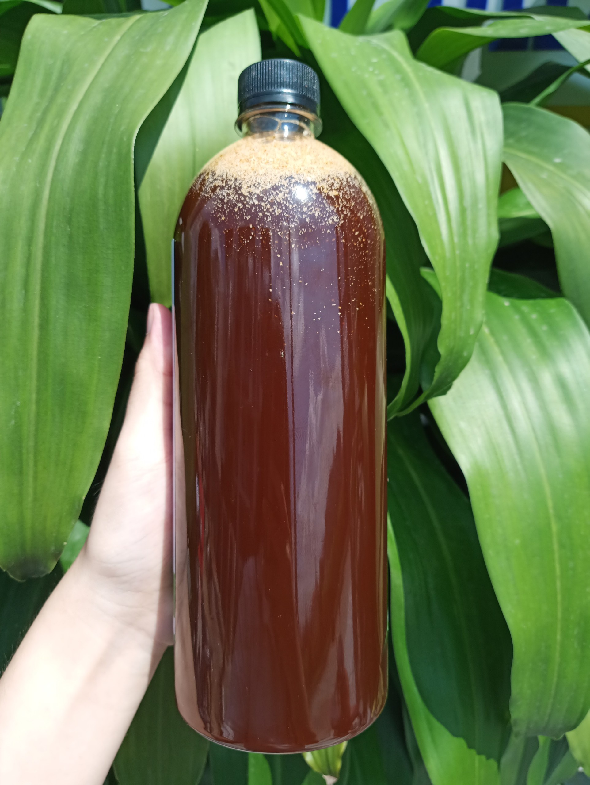 CHẾ PHẨM SINH HỌC EM GỐC (EM1) CHAI 1 LÍT