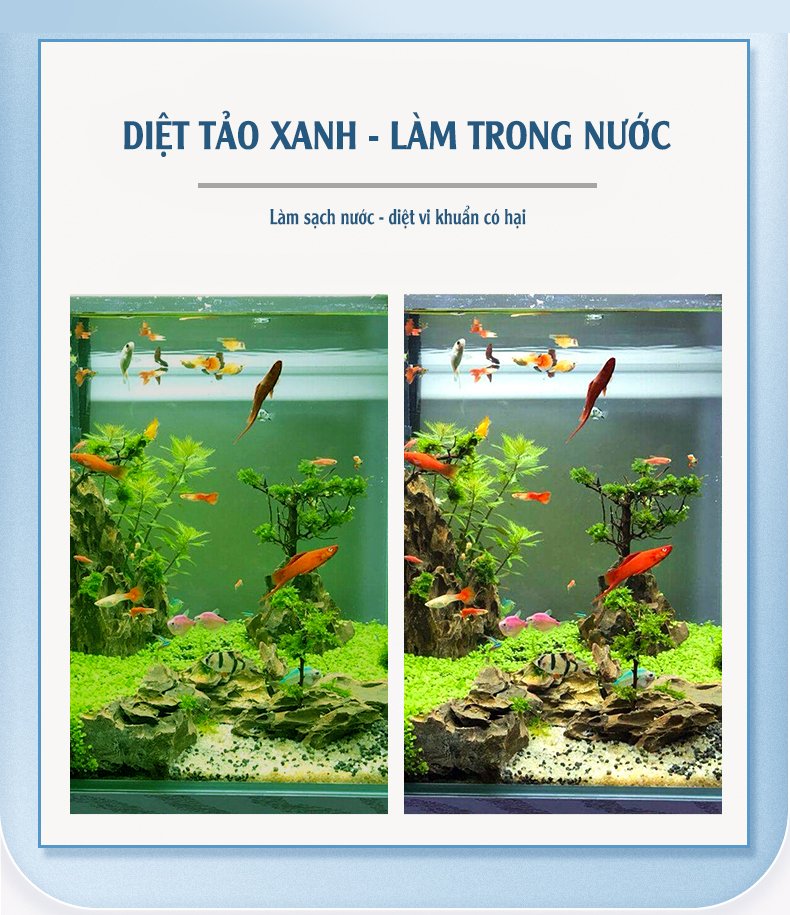 Lọc thùng bể cá Jecod