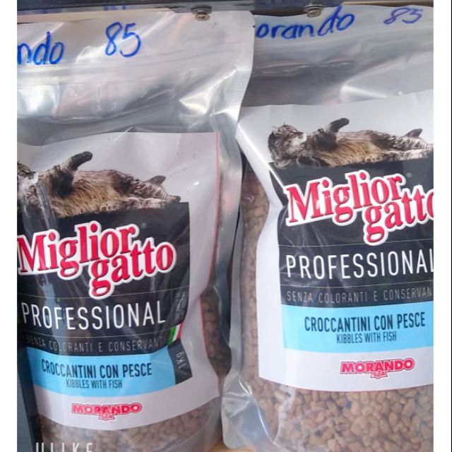MIGLIOR GATTO (MORANDO) - THỨC ĂN HẠT MÈO