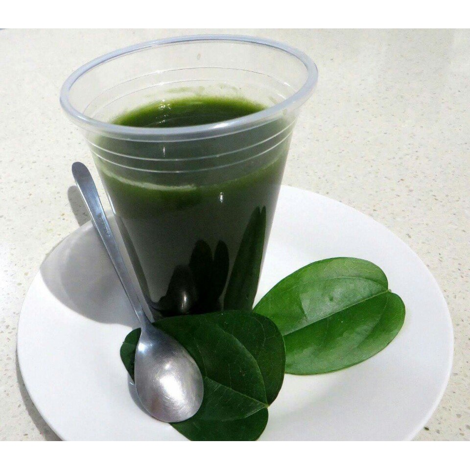 "Gói 30 Hạt " Hạt Giống Sương Sâm Lông