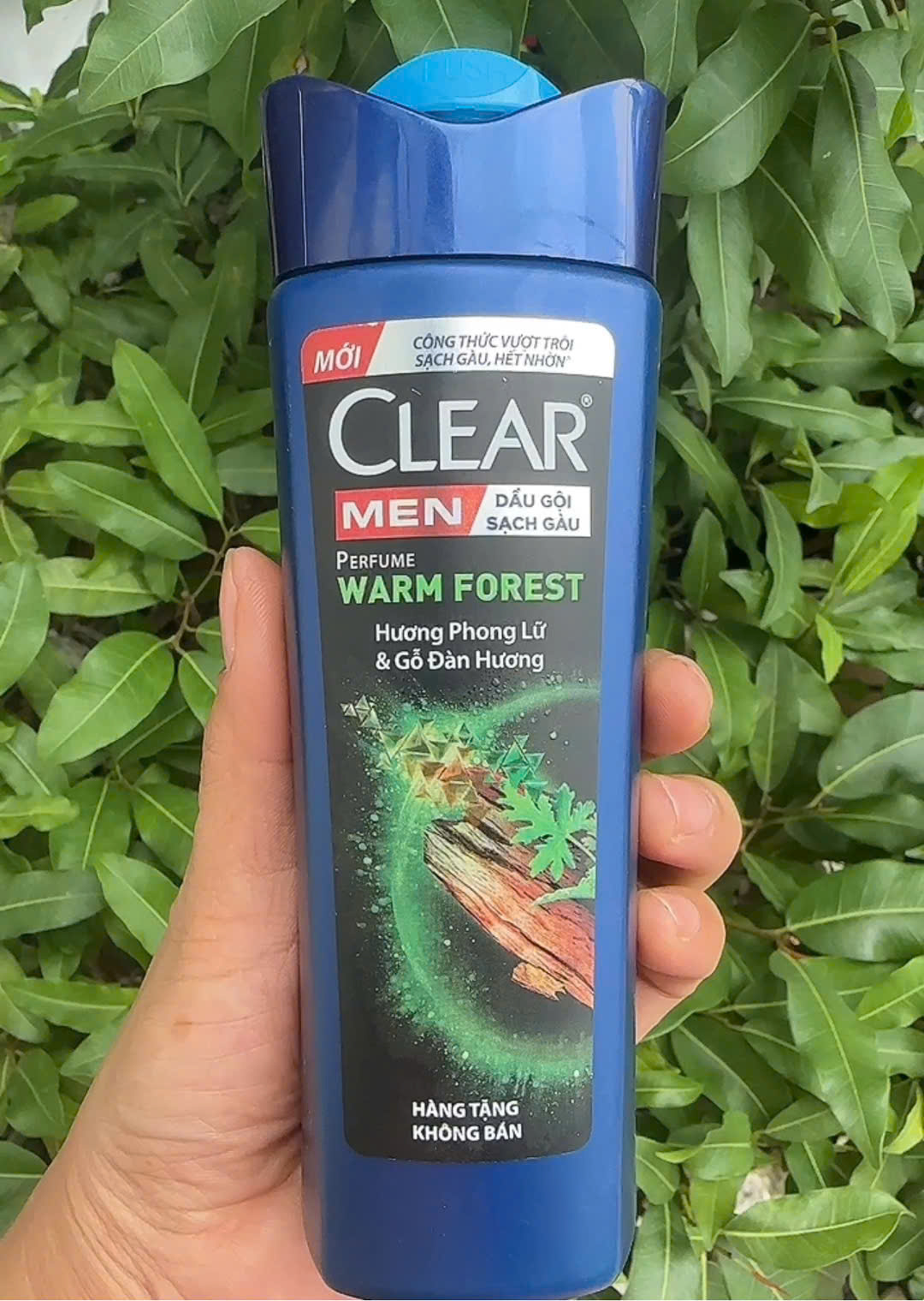 ( hàng khuyến mãi) Dầu gội Clear Men Phong Lữ 140g