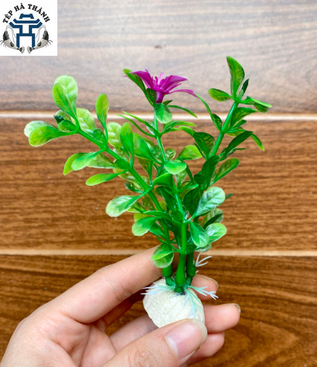 Cây Nhựa Trang Trí Bể Cá Cảnh