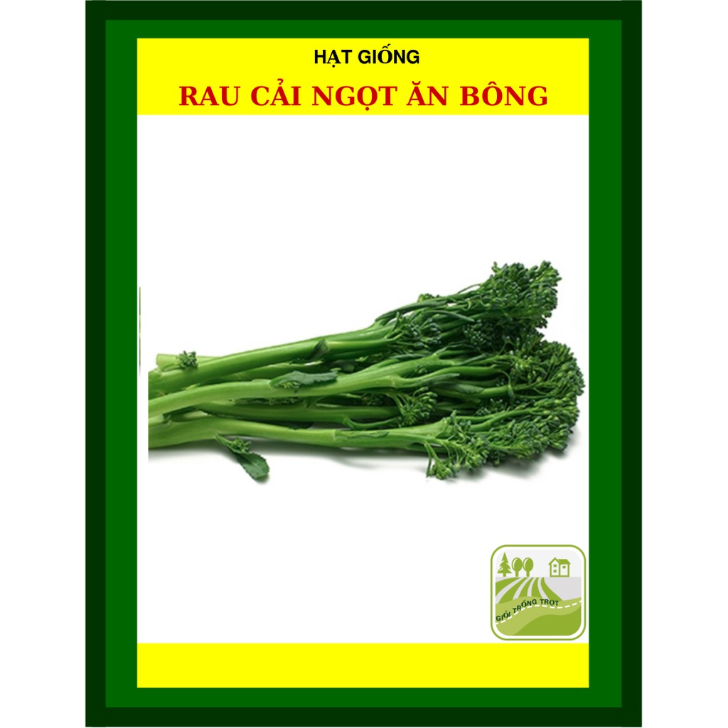 20G - Hạt Giống Cải ngọt Ăn Bông